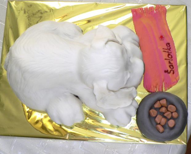 Šteňa - ďalší pohľad, torta, Torty so zvieratkami Šteňa - ďalší pohľad, torta, Torty so zvieratkami, pepko, 1