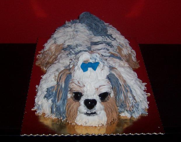 3D pes SHIHTZU, torta 3D pes SHIHTZU, torta, jazvinka, 1
