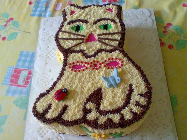 mačka, torta, Torty so zvieratkami, zabacka, 1