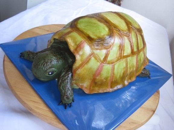 Želva - korytnačka, torta Želva - korytnačka, torta, OlgaC, 1