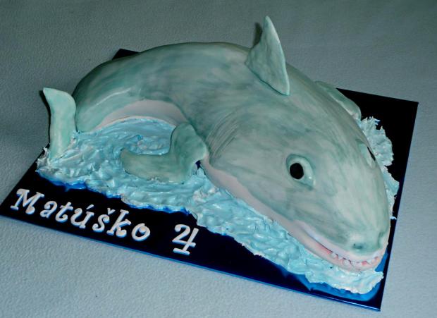 biely žralok, torta, Torty so zvieratkami biely žralok, torta, Torty so zvieratkami, ajka7, 1