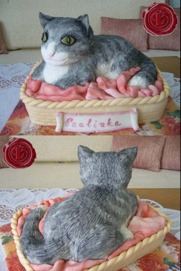 Mačka, torta, Torty so zvieratkami Mačka, torta, Torty so zvieratkami, lenkafab, 1