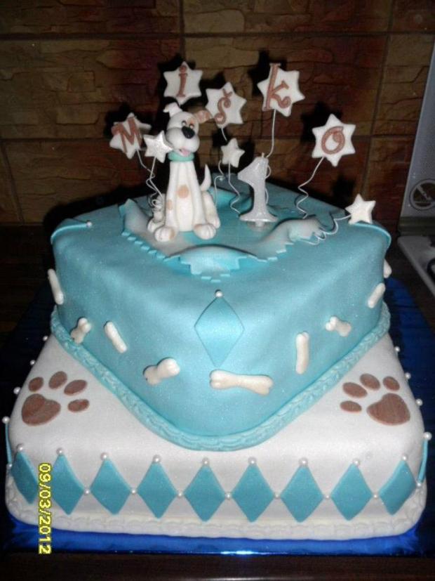 prvé narodeninky :), torta, Torty so zvieratkami, Agnesa3131, 1
