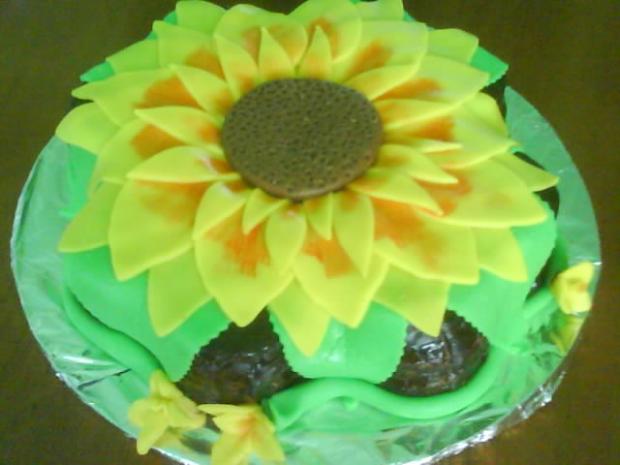 pokus podľa Dankatrnky, torta, Netradičné torty pokus podľa Dankatrnky, torta, Netradičné torty, AlkaS, 1