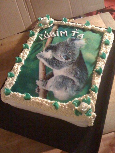 Koala na objednávku , torta, Narodeninové torty, Etulik, 1