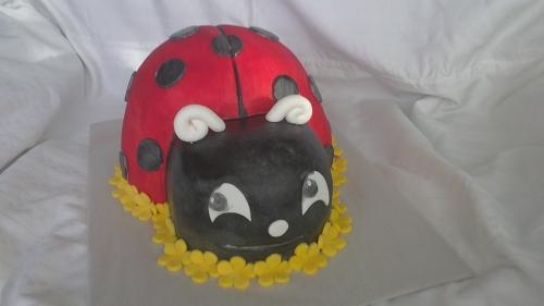 lienka, torta, Torty so zvieratkami, JakubTN, 1