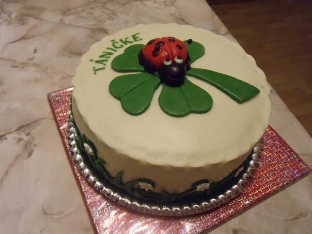 INÝ POHĽAD, torta, Torty so zvieratkami, mariana.aza, 1