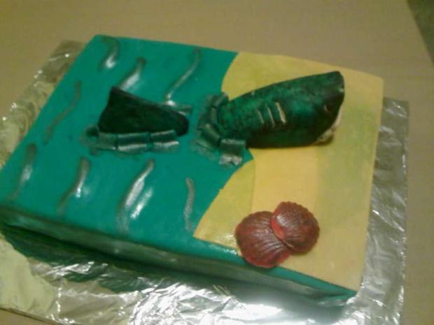žraločia na želanie, torta, Netradičné torty, nikola.kolnikova, 1