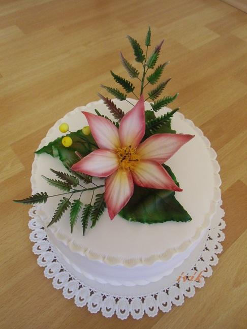 narodeninova, torta, Narodeninové torty narodeninova, torta, Narodeninové torty, ivik, 1