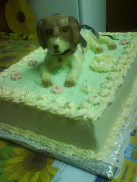 psik bigl na 60., torta, Narodeninové torty psik bigl na 60., torta, Narodeninové torty, Pettusa, 1