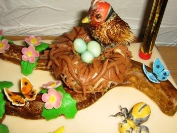 Práček, torta, Torty so zvieratkami Práček, torta, Torty so zvieratkami, Milca12, 1
