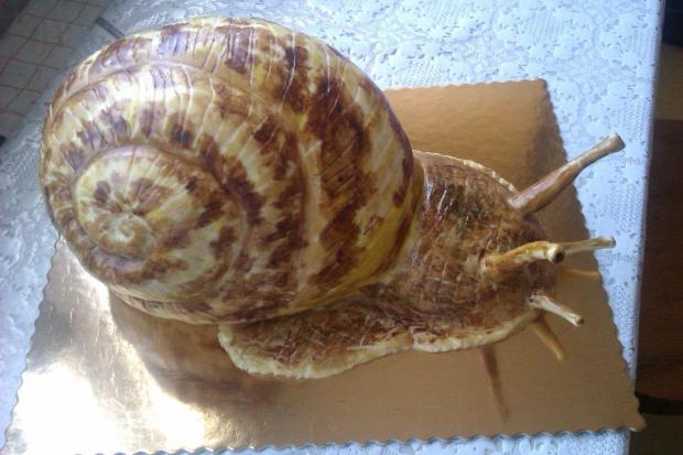 slimák, torta, Netradičné torty, ornella694, 1