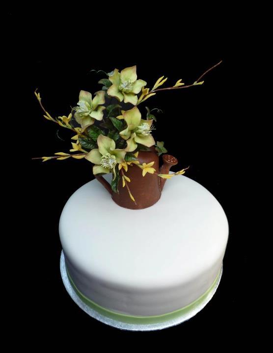Čemerice a zlatý dážď, torta, Narodeninové torty Čemerice a zlatý dážď, torta, Narodeninové torty, adrianas, 1