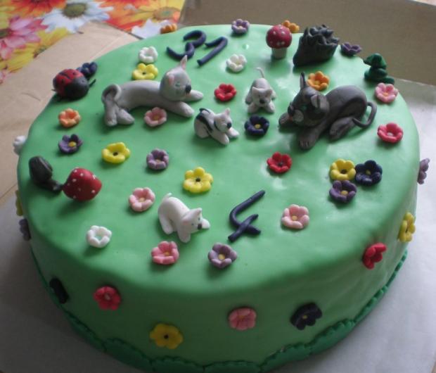mačičková, torta, Ostané torty pre deti mačičková, torta, Ostané torty pre deti, kikusa23222, 1
