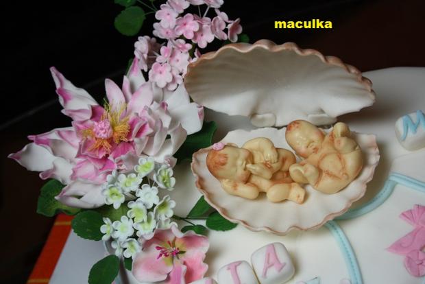 krstinová pre dvojičky, torta, Torty na krstiny, maculka, 1