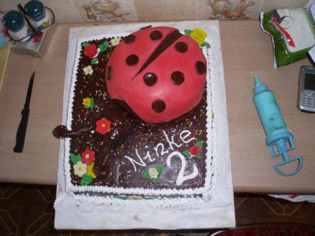 Lienka, torta, Narodeninové torty Lienka, torta, Narodeninové torty, Terka, 1