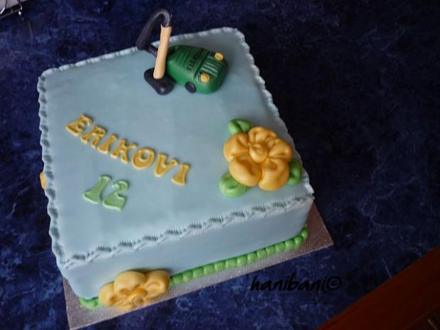 s vysávačom..., torta, Ostané torty pre deti s vysávačom..., torta, Ostané torty pre deti, hanibani, 1