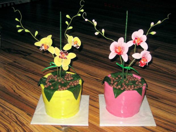 orchidejky v kvetinaci , torta, Narodeninové torty orchidejky v kvetinaci , torta, Narodeninové torty, macko1811, 1