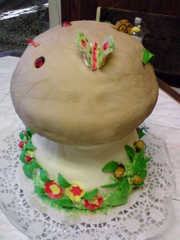 hríbik, torta, Mirena, 1