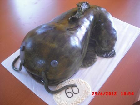 sumec, torta, Narodeninové torty, dagaz, 1