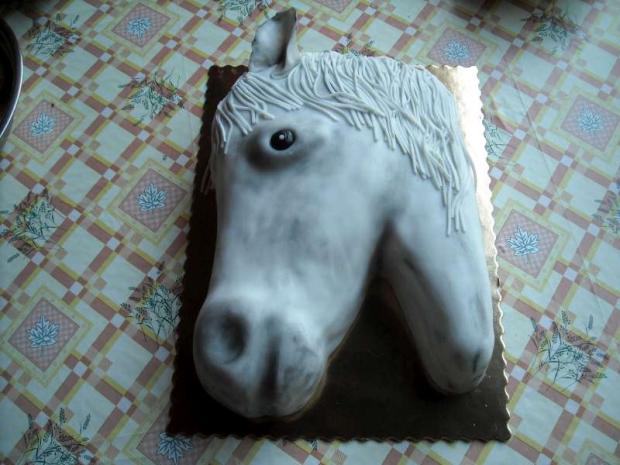 koník Sahyb k narodeninám, torta, Netradičné torty koník Sahyb k narodeninám, torta, Netradičné torty, Tatianka, 1
