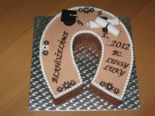 Podkovička k promóciám, torta, Torty - škola, stužková Podkovička k promóciám, torta, Torty - škola, stužková, Lubka212, 1