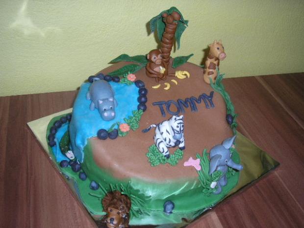 Safari, torta, Torty so zvieratkami Safari, torta, Torty so zvieratkami, Denideni, 1