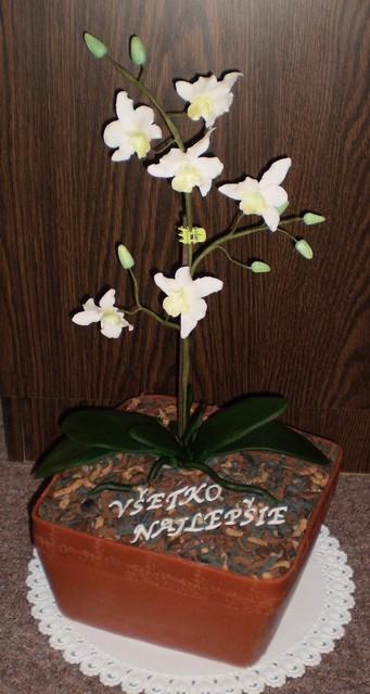opäť a zas orchidea, na želanie, torta, Narodeninové torty, zuzickag, 1