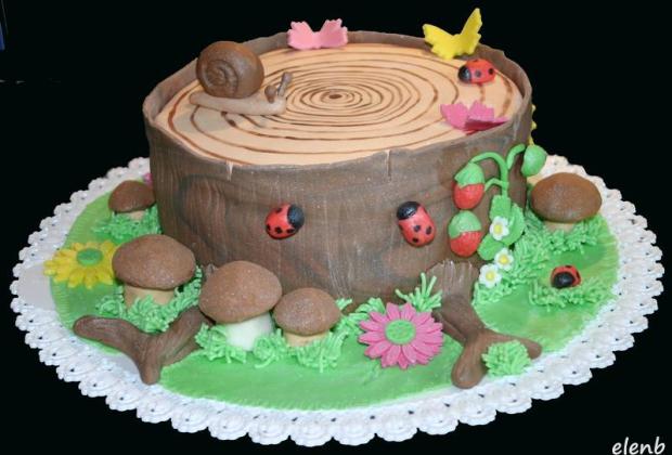 Lesný pník, torta, Narodeninové torty, Elen Bielikova, 1