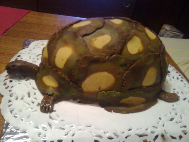 Korytnačka, torta, Torty so zvieratkami, Alík, 1