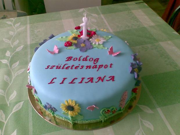 Liliana, torta, Ostané torty pre deti Liliana, torta, Ostané torty pre deti, hajduovaandrea, 1