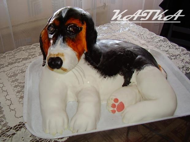 pes č.2, torta, Torty so zvieratkami pes č.2, torta, Torty so zvieratkami, Katka Ozsvaldova, 1