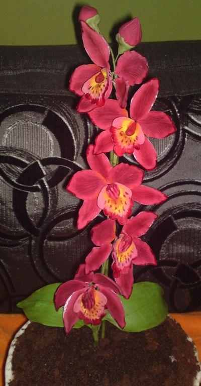 Orchidea Cattleya...v detaile., torta, Ozdoby na torty Orchidea Cattleya...v detaile., torta, Ozdoby na torty, Mariolka, 1