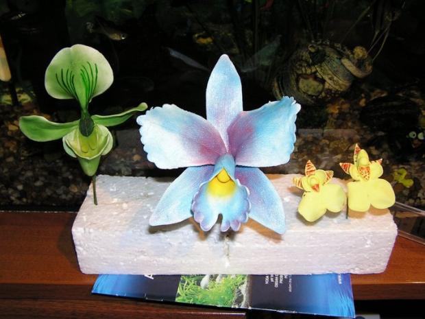 Orchideje z MMF, torta, Ozdoby na torty Orchideje z MMF, torta, Ozdoby na torty, Bohus_L, 1