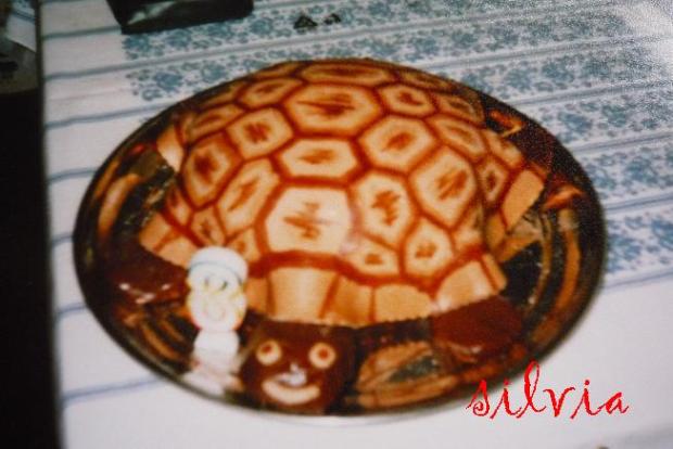 korytnačka, torta, Torty so zvieratkami korytnačka, torta, Torty so zvieratkami, silviar, 1