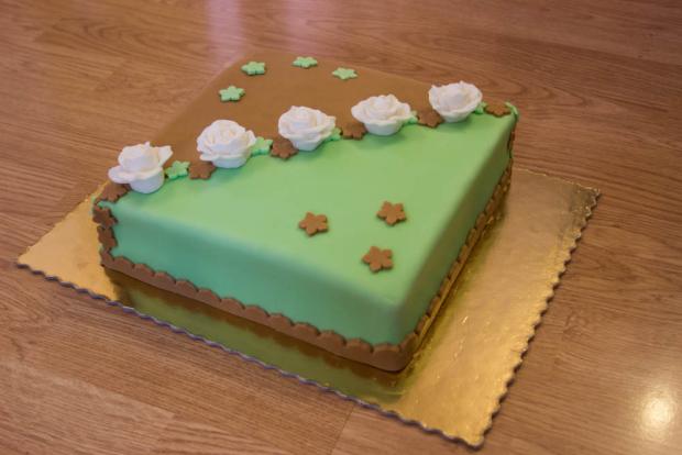 pre dvoch oslavencov, torta, Narodeninové torty, jjanka, 1