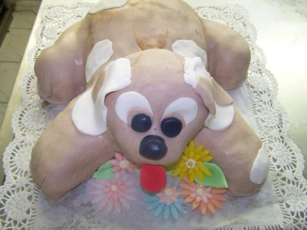 havinko, torta, Torty so zvieratkami, Natalia Horvathova, 1