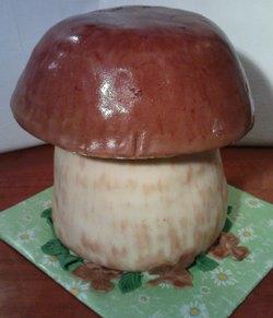 Hríb dubák, torta Hríb dubák, torta, OLINKA_liska_ryska, 1