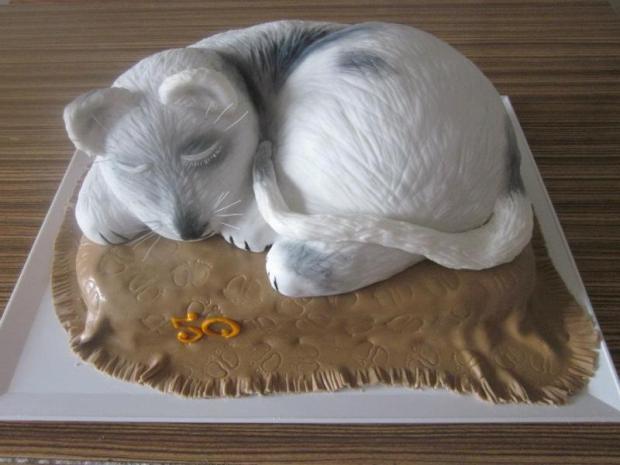 mačka, torta, Netradičné torty mačka, torta, Netradičné torty, Macuška, 1