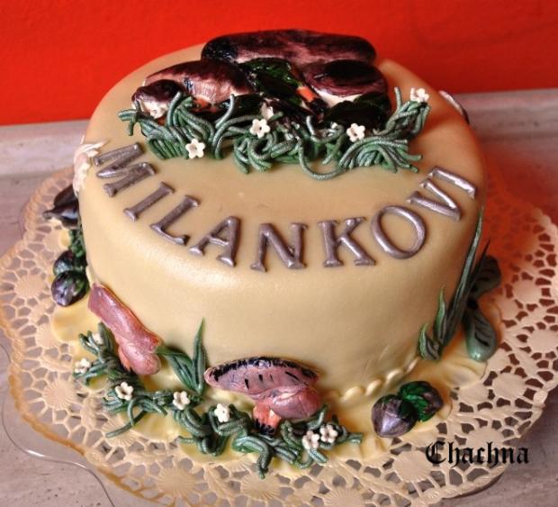 trocha jesene, torta, Narodeninové torty trocha jesene, torta, Narodeninové torty, chachna, 1