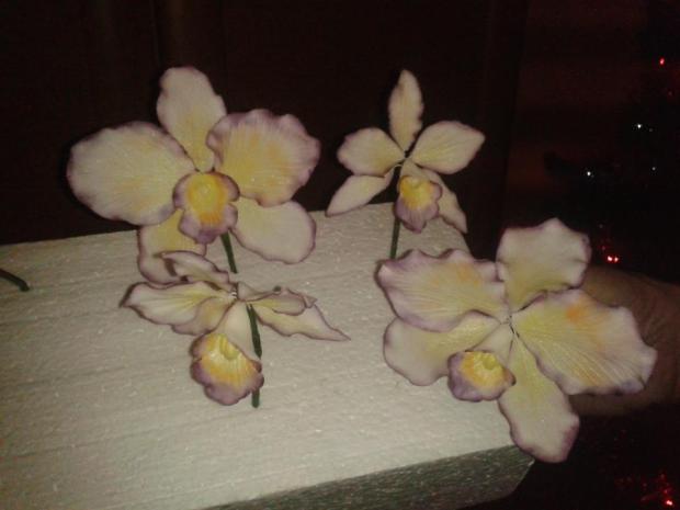 prvé orchideje, torta, Ozdoby na torty prvé orchideje, torta, Ozdoby na torty, rrenicka, 1