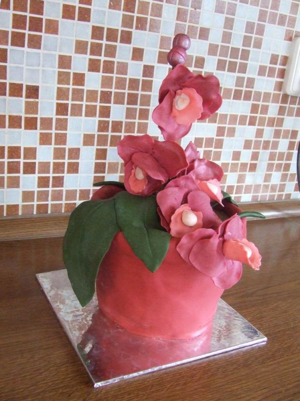 orchidea , torta, Narodeninové torty, Emily76, 1