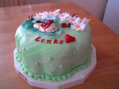 lienka, torta, Narodeninové torty, jamami, 1
