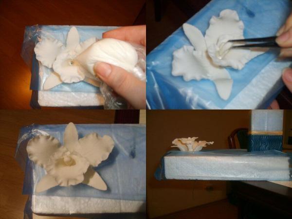 Postup na Orchideu(Cattleya) od Gabikynav, torta, Ozdoby na torty, Bohus_L, 1
