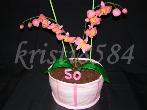 Orchidea v črepníku, torta, Narodeninové torty Orchidea v črepníku, torta, Narodeninové torty, kristi8584, 1