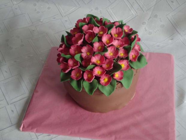a zas kvetináč s ružovými fialkami, torta, Narodeninové torty a zas kvetináč s ružovými fialkami, torta, Narodeninové torty, Majenka, 1