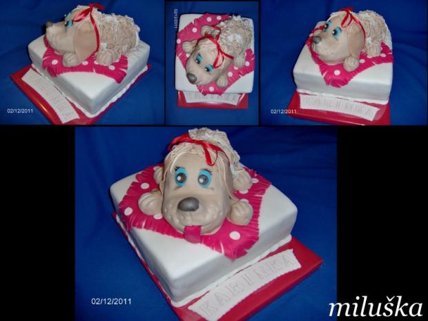 Karinka--1--, torta Karinka--1--, torta, miluška, 1