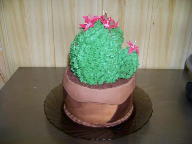 No comment, torta No comment, torta, Kisko, 1