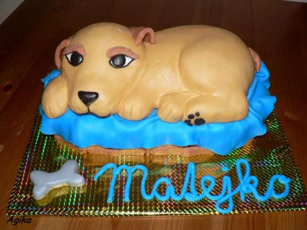 zlatý retríver šteniatko, torta, Torty so zvieratkami, Agika, 1