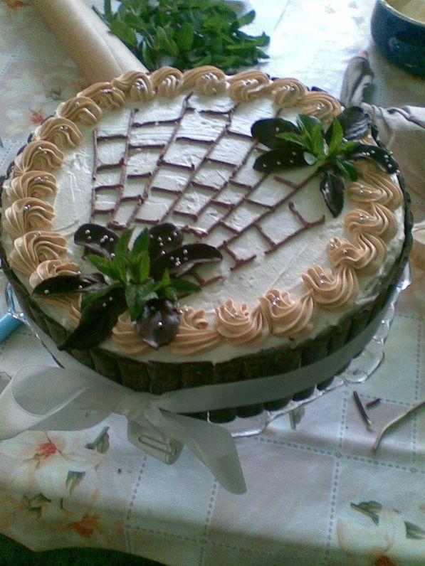 bleskovka, torta bleskovka, torta, 1.balance, 1